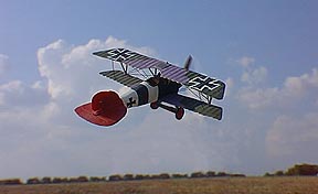 Albatros D.III - ESCI ERTL 1:72 scale model