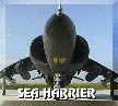 Sea Harrier FRS.Mk1